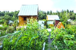 Проблемами садоводов и огородников займется специальная комиссия при Правительстве РФ